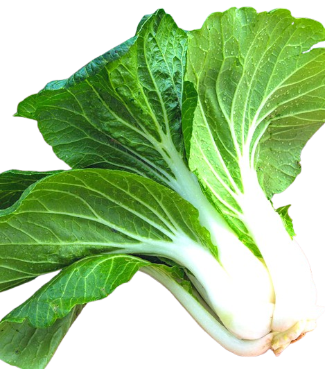 Капуста Пак-чой
