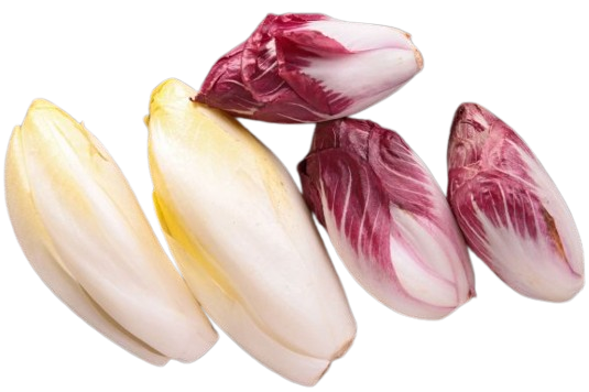 Цикорний салат