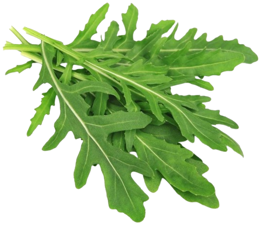 Рукола Дика грація 