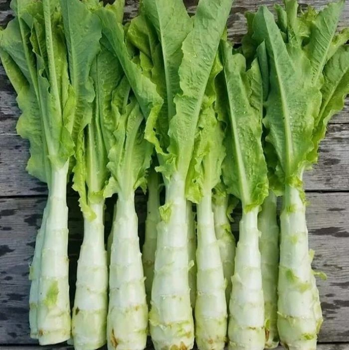 Салат уйсун Світлана 